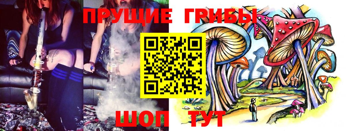 Псилоцибиновые грибы прущие грибы Моздок