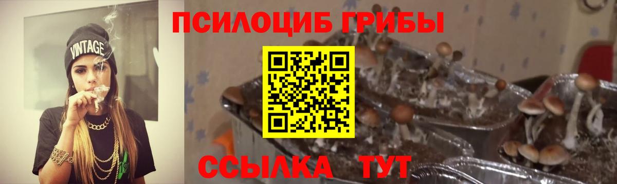 Псилоцибиновые грибы Psilocybine cubensis  наркотики  Моздок  Вход с VPN 